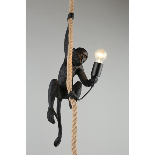 Светильник подвесной APL.309.16.01 фото 6