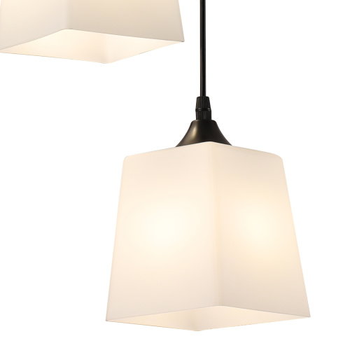Подвесной светильник 160003/2P E27*60W Black фото 3