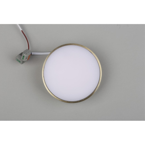 Светильник настенно-потолочный APL.0113.29.12 фото 8