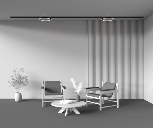 Трековый светильник Technical TR227-2-24W4K-B фото 5