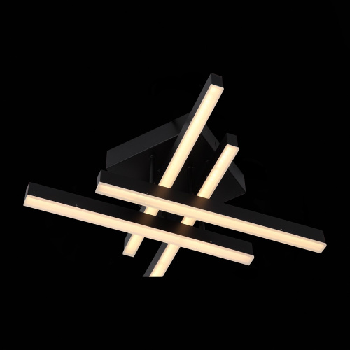 SL933.402.04 Люстра потолочная ST-Luce Черный/Черный, Белый LED 1*22W 3000K/4000K/6000K SAMENTO фото 11