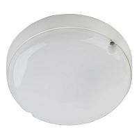 Настенно-потолочный светильник ЭРА SPB-201-0-40К-012 Б0047619