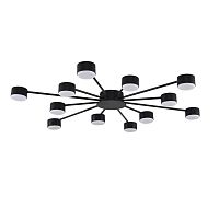 Люстра Lumion COMFI 8344/12C