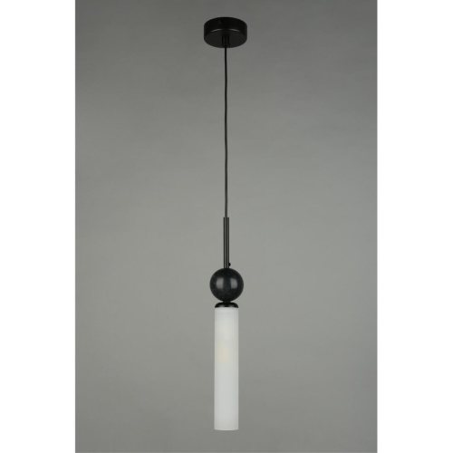 Светильник подвесной APL.339.06.01 фото 4