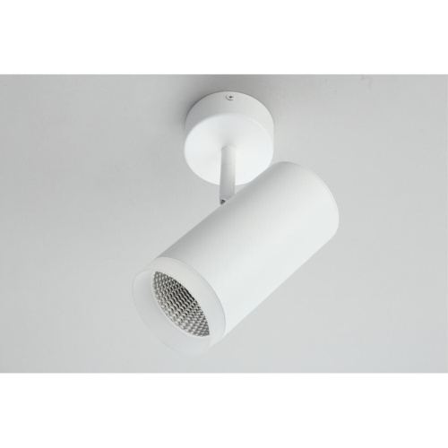 Светильник настенно-потолочный OML-102609-20 фото 4