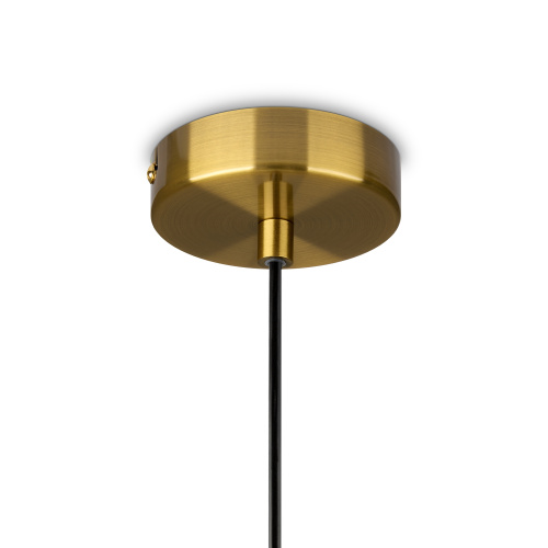 Подвесной светильник Freya FR1012PL-01BS1 фото 5