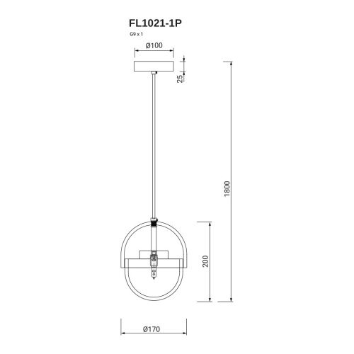 Подвесной светильник Flamma FL1021-1P фото 4