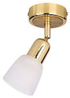 Спот Escada 5039/1PA E14*40W Gold/White