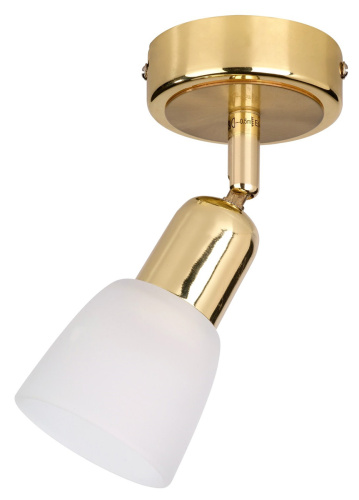 Спот Escada 5039/1PA E14*40W Gold/White