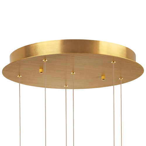 Подвесная светодиодная люстра Lightstar Colore 805169 фото 3