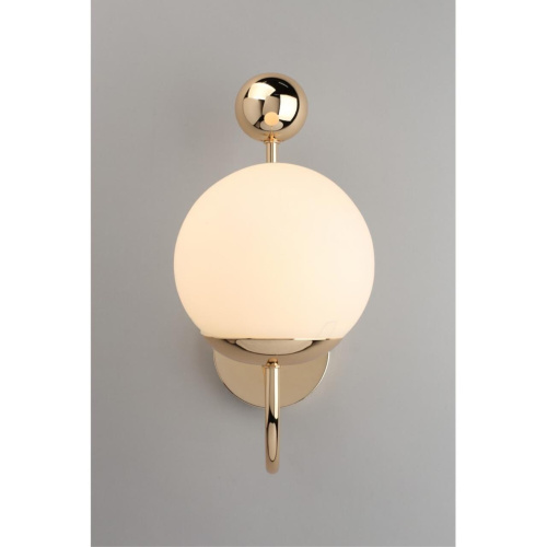 Светильник настенный (Бра) OML-67001-01 фото 3