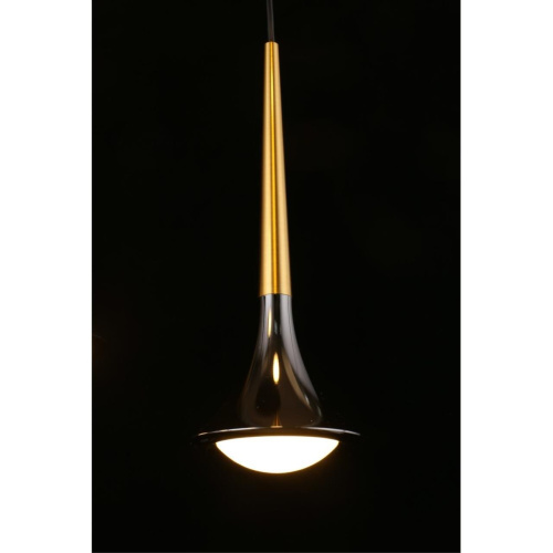 Люстра подвесная APL.784.06.05 фото 12