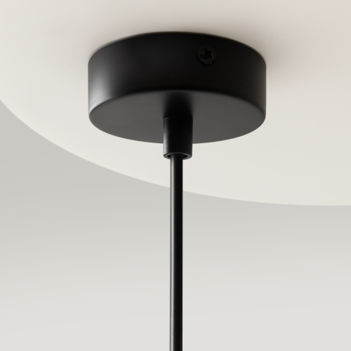 Подвесной светильник Maytoni MOD013PL-06B фото 11