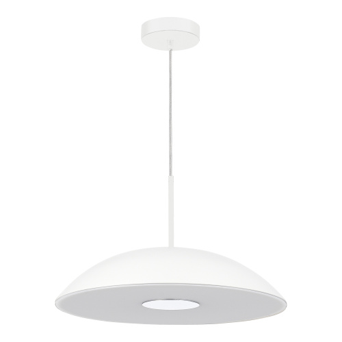 SL6128.503.01 Светильник подвесной ST-Luce Белый/Белый LED 1*24W 3000K LID фото 5
