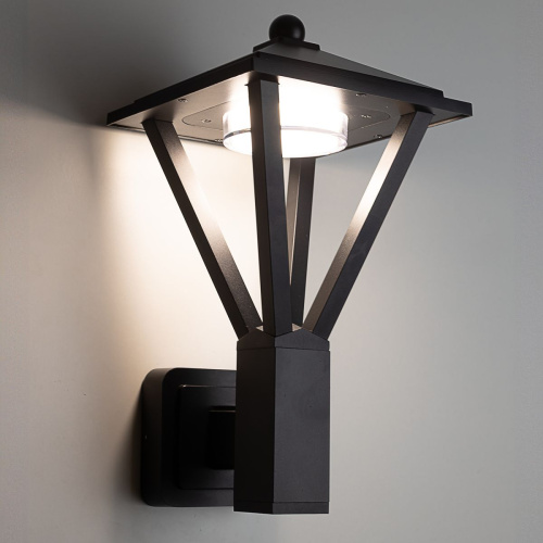 Уличный настенный светильник Citilux Genox CLU12W фото 5