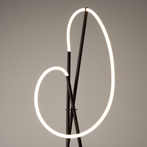 Напольный светильник (торшер) Maytoni MOD369FL-L36B3K фото 13