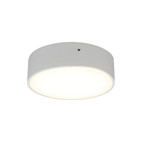 Светильник настенно-потолочный APL.0113.09.12