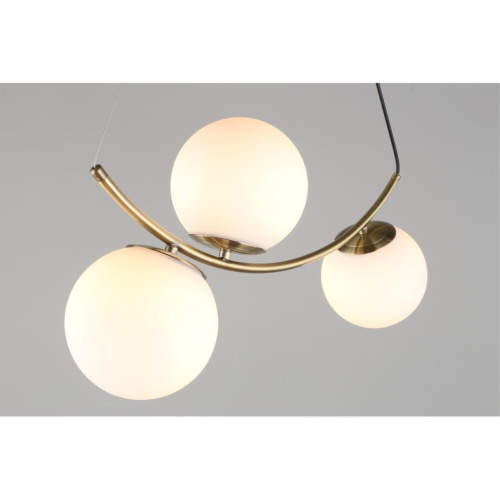 Люстра подвесная OML-94903-03 фото 7 Люстра подвесная OML-94903-03 фото 7