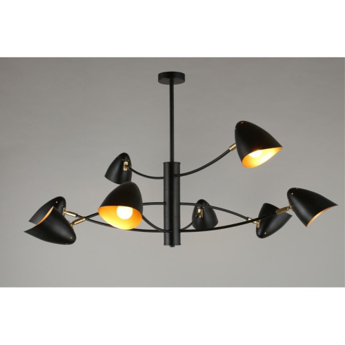 Люстра потолочная OML-29707-08 фото 4 Люстра потолочная OML-29707-08 фото 4