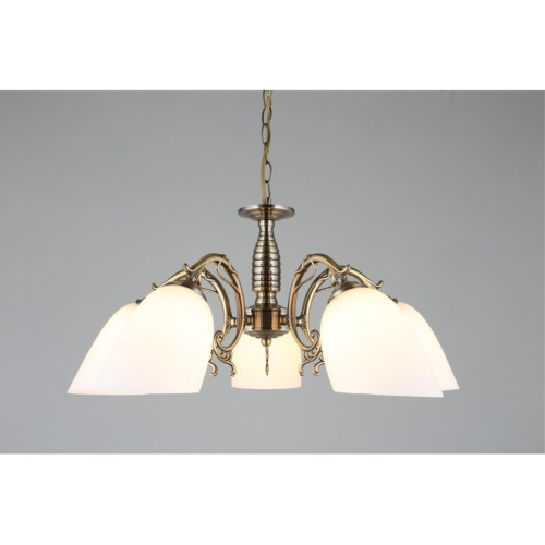 Люстра подвесная OML-56407-05 фото 5 Люстра подвесная OML-56407-05 фото 5