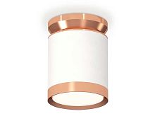 Комплект накладного светильника Ambrella light Techno Spot XS (N8912, C8141, N8126) XS8141035