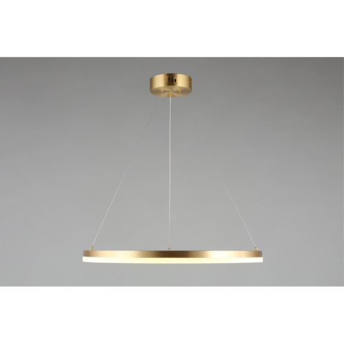 Люстра подвесная APL.049.13.40 фото 5