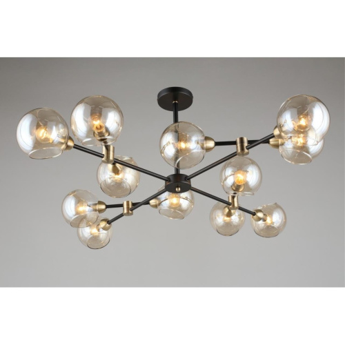 Люстра потолочная OML-94207-12 фото 17