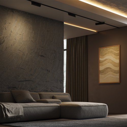 Трековый светильник Technical TR242-2-12W3K-B фото 2