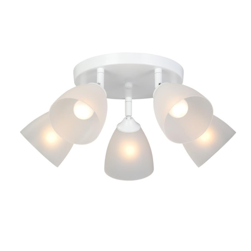 Потолочная люстра Vitaluce V4355-0/5PL Потолочная люстра Vitaluce V4355-0/5PL