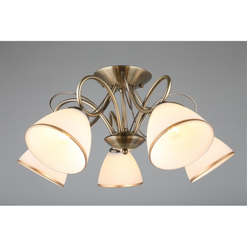 Люстра потолочная OML-25307-05 фото 4