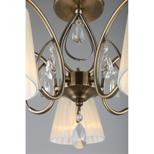 Люстра потолочная OML-56617-05 фото 6 Люстра потолочная OML-56617-05 фото 6