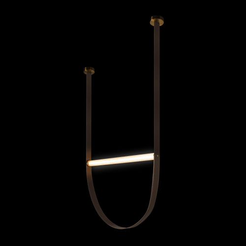 10221/1250 Подвесной светильник LOFT IT Liana фото 2