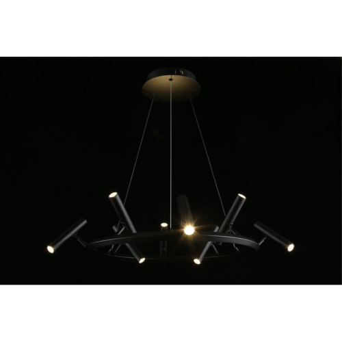 Люстра подвесная APL.067.03.40 фото 9