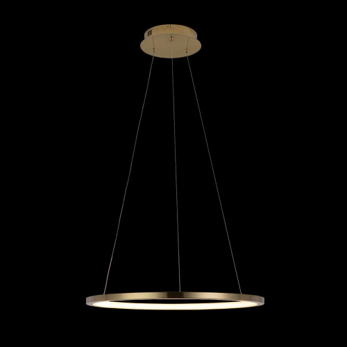 10014M Подвесной светильник LOFT IT Ring фото 3 10014M Подвесной светильник LOFT IT Ring фото 3