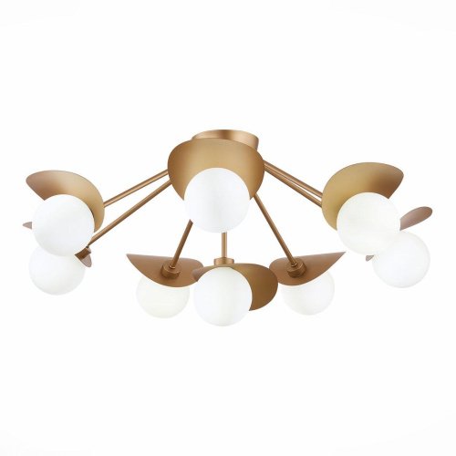 Потолочная люстра Evoluce Bolzano SLE220502-08 Потолочная люстра Evoluce Bolzano SLE220502-08