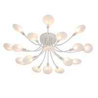 Потолочная люстра F-Promo Skein 4198-20C