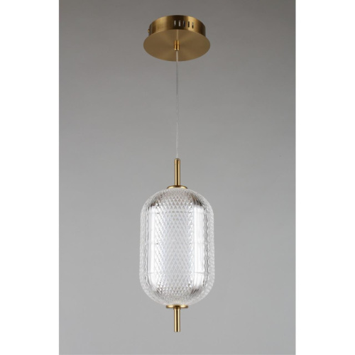 Светильник подвесной OML-68806-01 фото 5