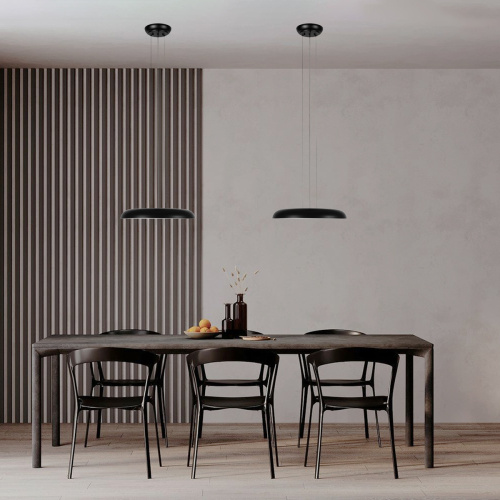 10371P White Подвесной светильник LOFT IT Dime фото 3