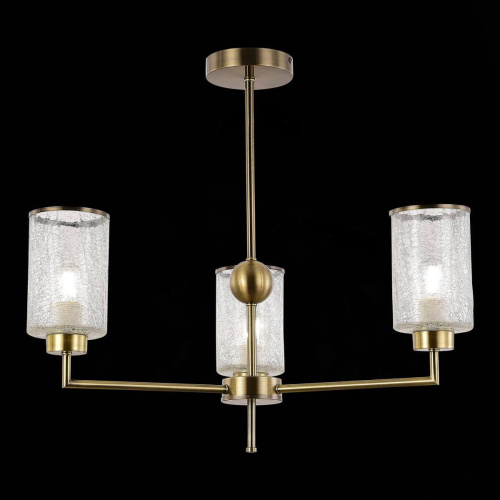 Подвесная люстра Evoluce Vestre SLE1046-302-03 фото 2