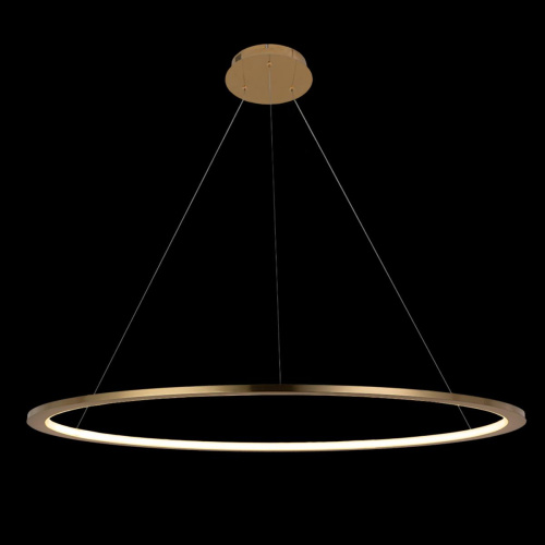 10014L Подвесной светильник LOFT IT Ring фото 3