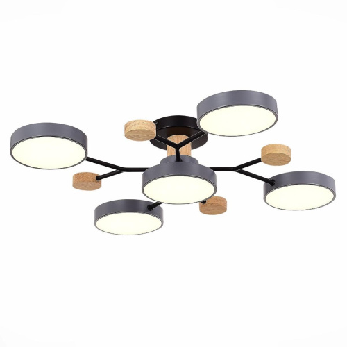 Потолочная светодиодная люстра Evoluce FAEMA SLE6006-702-05 Потолочная светодиодная люстра Evoluce FAEMA SLE6006-702-05