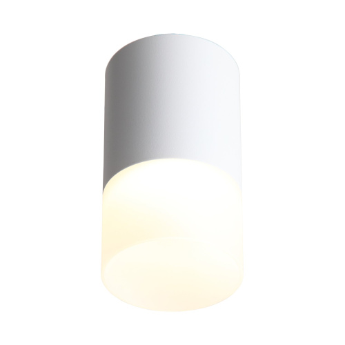 ST100.502.05 Светильник потолочный Белый LED 1*5W 3000K 390Lm Ra>80 120° D64xH110 170-240V Накладные светильники фото 5