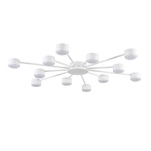 Люстра Lumion COMFI 8343/12C