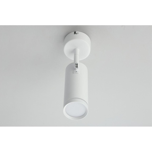 Светильник настенно-потолочный OML-102219-12 фото 8