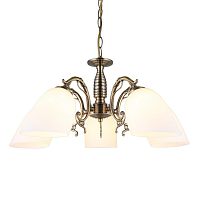 Люстра подвесная OML-56407-05