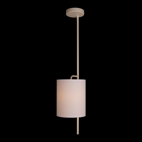 10253P White Подвесной светильник LOFT IT Ritz фото 4