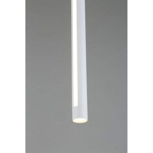 Светильник подвесной OML-102006-17 фото 6