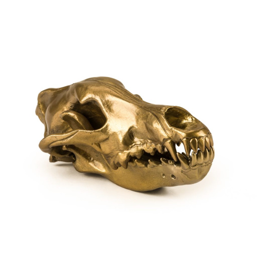 Статуэтка Wunderkrammer Wolf Skull фото 2 Статуэтка Wunderkrammer Wolf Skull фото 2