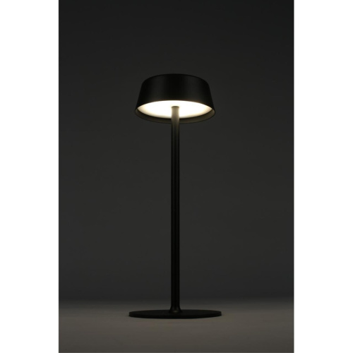 Настольная лампа OML-40504-01 фото 10 Настольная лампа OML-40504-01 фото 10