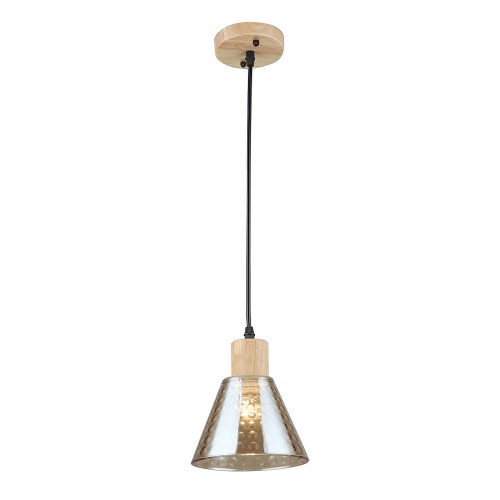 Подвесной светильник Arte Lamp LANCASTER A5891SP-1BK